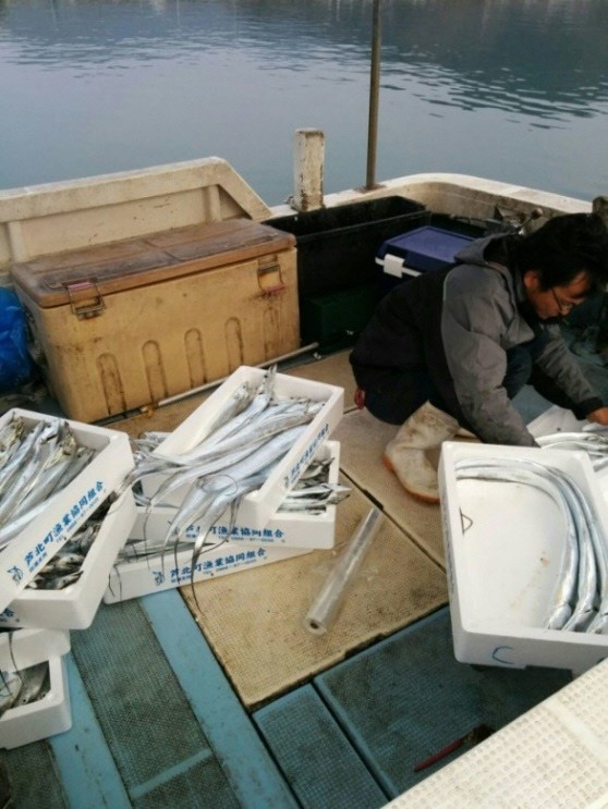 タチウオ曳縄釣り漁業