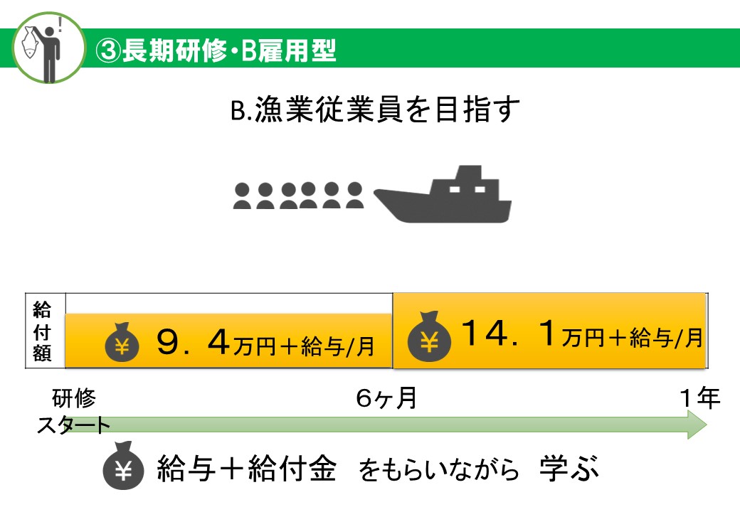 ③長期研修・B雇用型